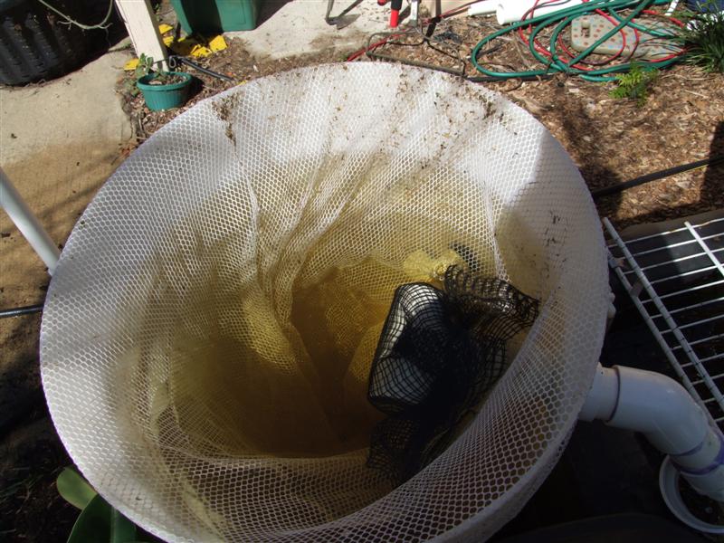 DSCF3574 (Medium).JPG