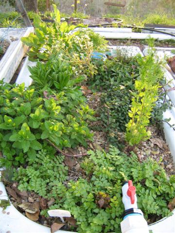 IMG_2696 (Small).jpg