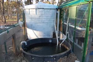 aquaholic inc 002.jpg