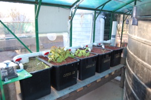 aquaholic inc 004.jpg