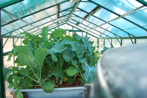 aquaholic inc 007.jpg