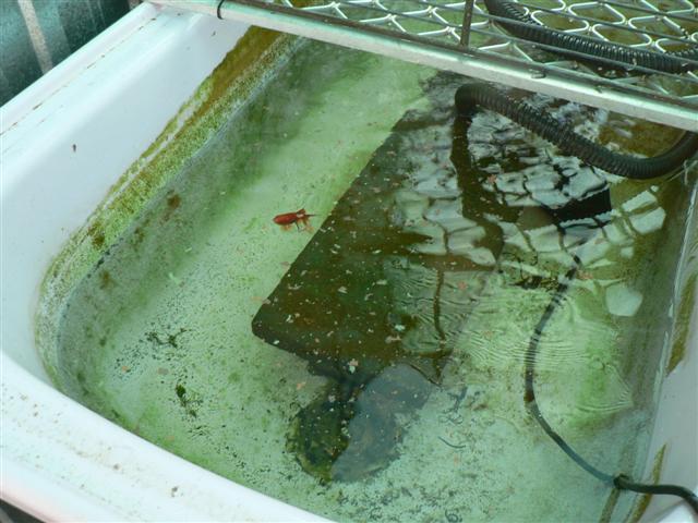 Mini-system #1 003 (Small).jpg