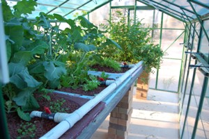 aquaholic inc 008.jpg