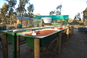 aquaholic inc 009.jpg