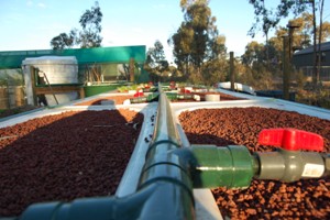 aquaholic inc 010.jpg