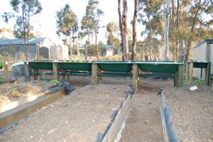 aquaholic inc 011.jpg