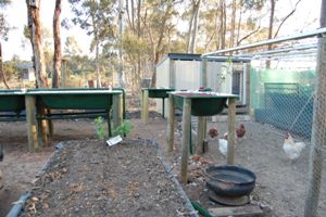 aquaholic inc 012.jpg