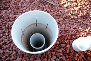 aquaholic inc 013.jpg