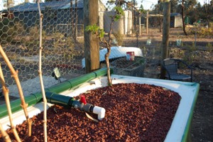 aquaholic inc 016.jpg