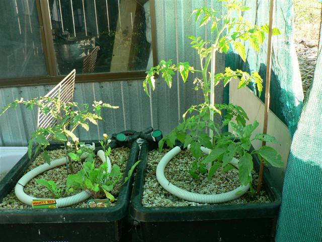 Mini-system #1 002 (Small).jpg