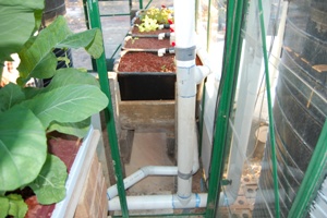 aquaholic inc 019.jpg