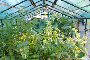 aquaholic inc 020.jpg