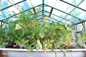 aquaholic inc 021.jpg