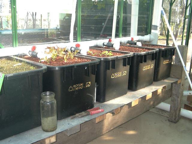 aquaholic inc 005.jpg