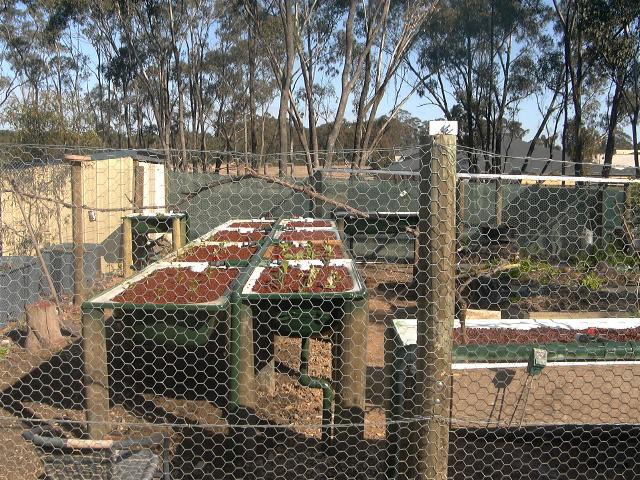 aquaholic inc 009.jpg