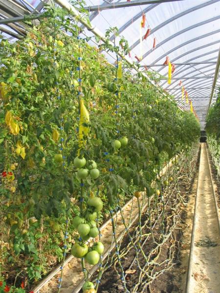 00003_801 (Medium).jpg