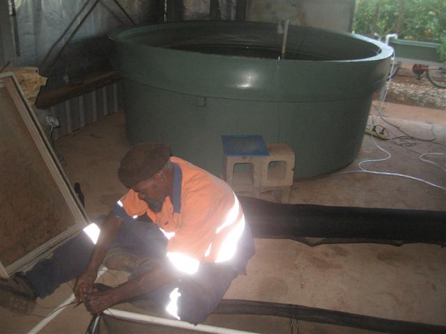 barra d day 002 (Small).jpg