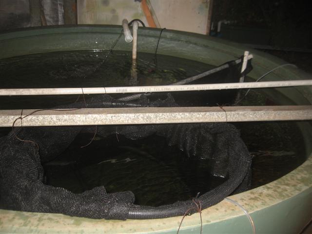 barra d day 004 (Small) (2).jpg