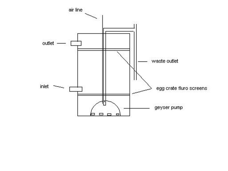 Vortex Filter (Medium).JPG