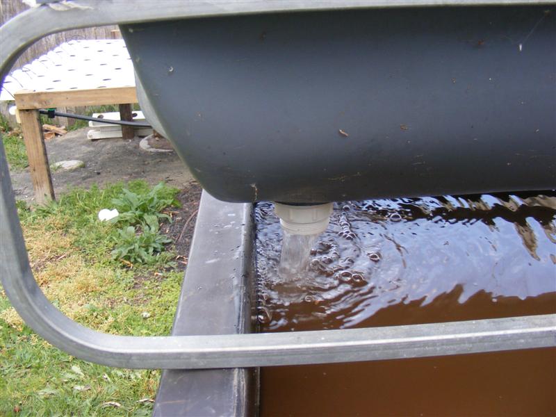 DSCF5274 (Medium).JPG