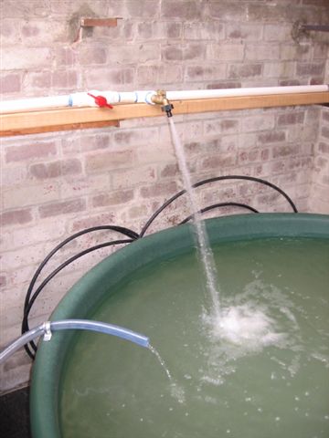 Growbed Drain _ Pump Relief_4_1.JPG