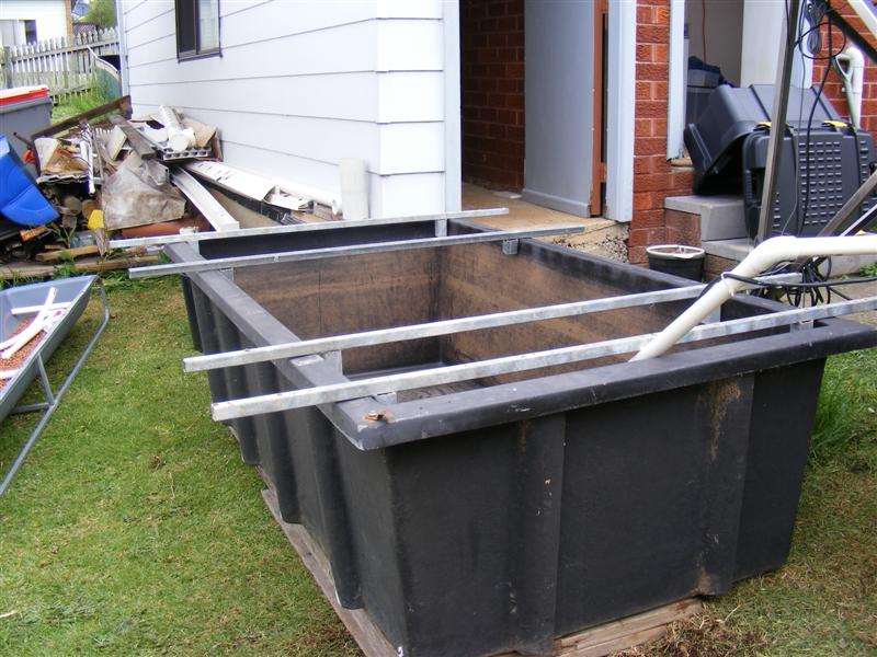 DSCF5303 (Medium).JPG