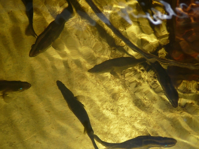 plant growth 005.jpg