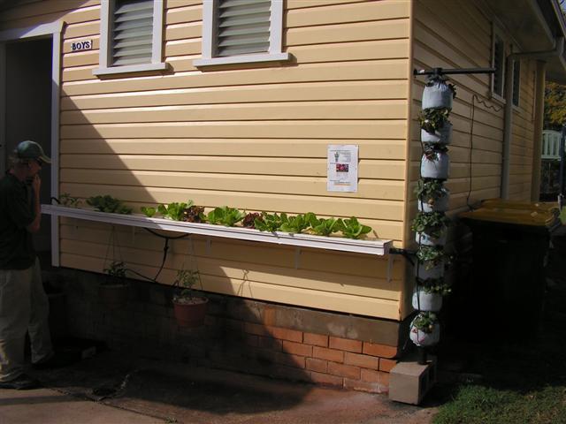 my aqua 001 (Small).jpg