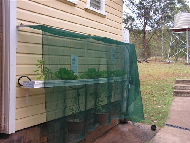 my aqua 007 (Small).jpg