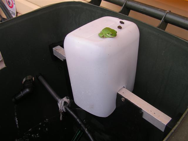 my aqua 010 (Small).jpg