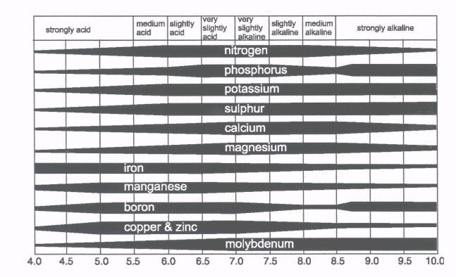 pH and uptake of nutrients.jpg