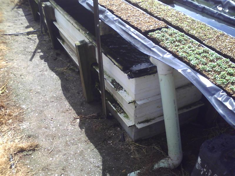 HPIM0021 (Medium).jpg