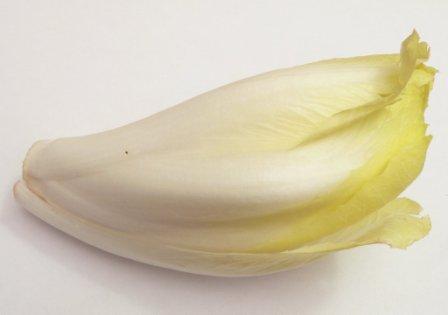 Endive_p1160063.jpg