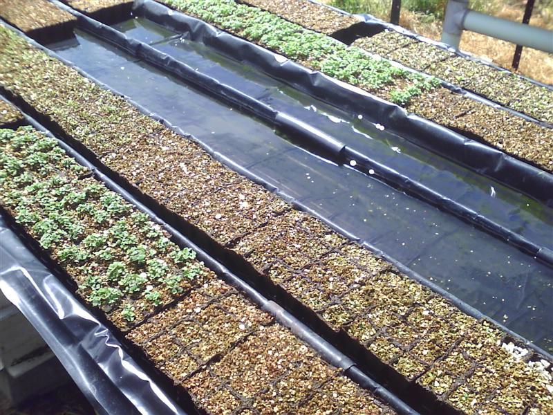 HPIM0018 (Medium).jpg