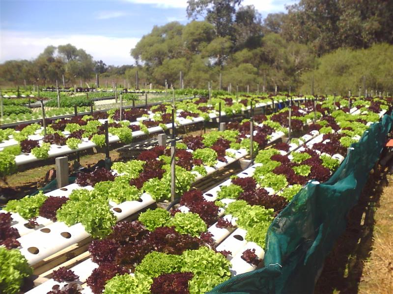 HPIM0012 (Medium).jpg