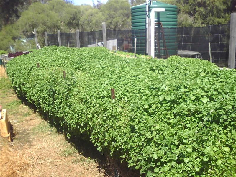 HPIM0010 (Medium).jpg