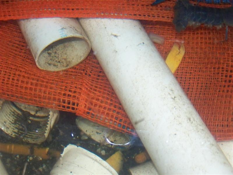 100_1366 (Medium).JPG