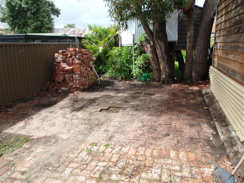 Copy of P9170122 (Medium).JPG