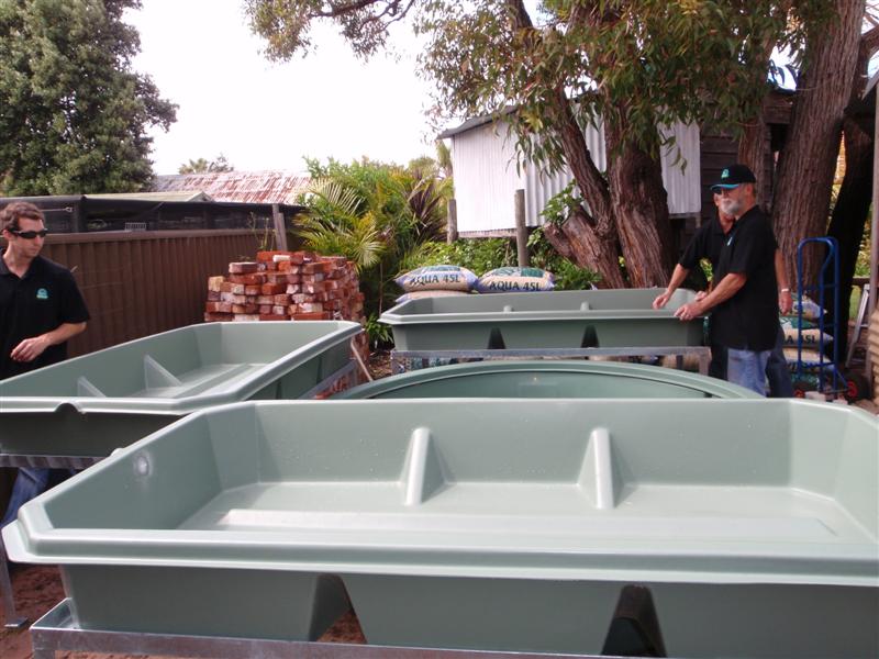 Copy of P9170128 (Medium).JPG