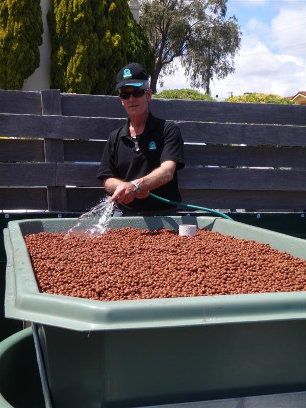 PA160286 (Medium).JPG