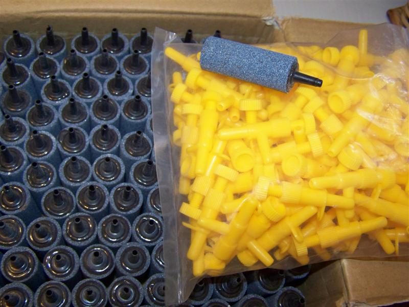 100_1040 (Medium).JPG