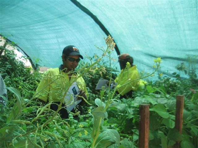 the shire crew 005 (Small).jpg