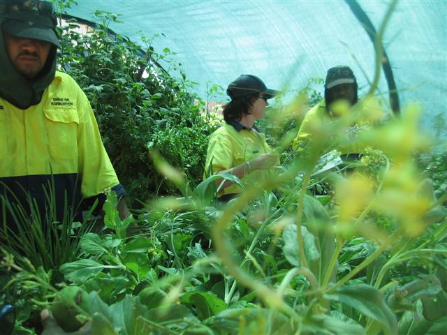 the shire crew 006 (Small).jpg