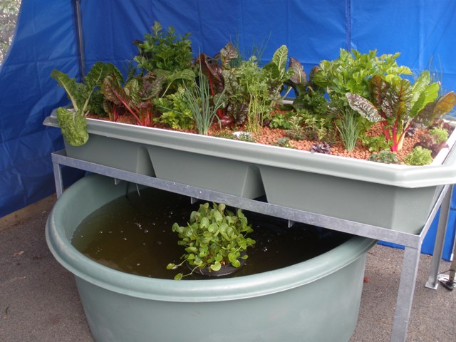 The water should settle by tomorrow - The Courtyard System.jpg