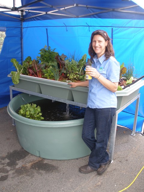 Plants and fish all happy as per usual.jpg