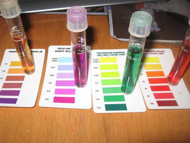 wow, test results 001 (Small).jpg