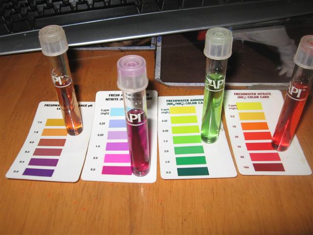 test results (Small).jpg