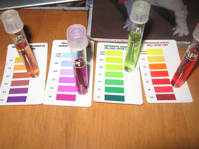 test results 003 (Small).jpg