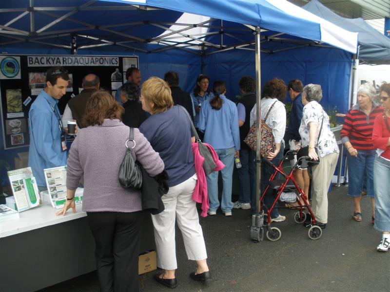 PA240038 (Medium).JPG