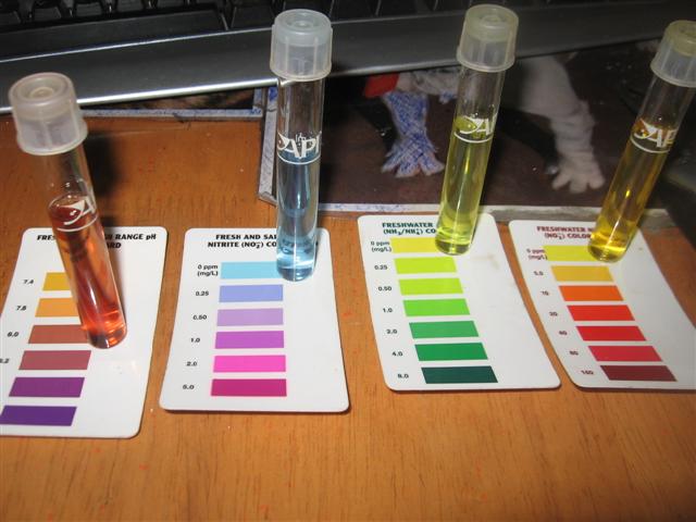 test results 005 (Small).jpg